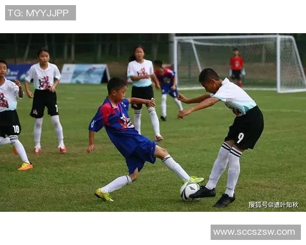 柳州足球球星成长历程与拼搏故事展现地方体育精神风采