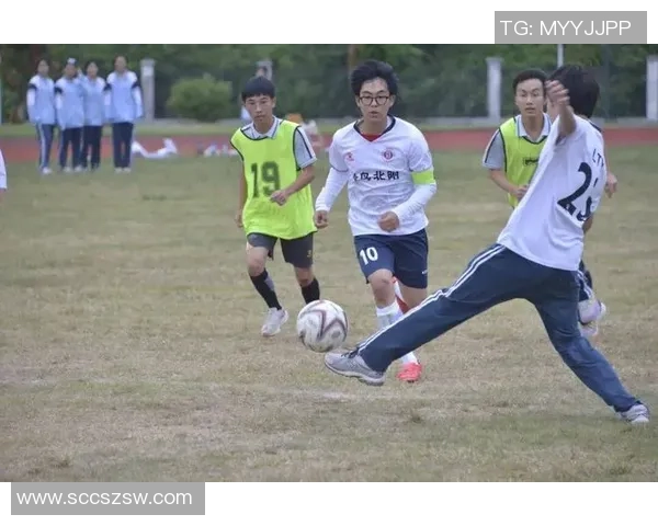足球征程荣耀登场群星闪耀见证绿茵赛场辉煌时刻