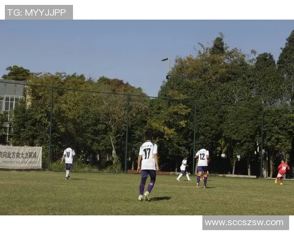 追梦绿茵场从少年轻狂到传奇巨星的人生奋斗史